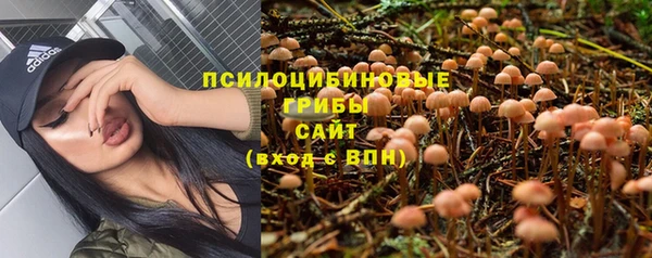 apvp Аркадак